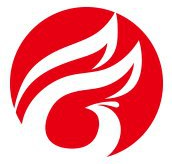 狗日猪视频